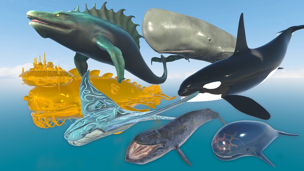 Laboon Vs Aircraft Killer Whale | 3D Whale Monster Size Animation Comparison