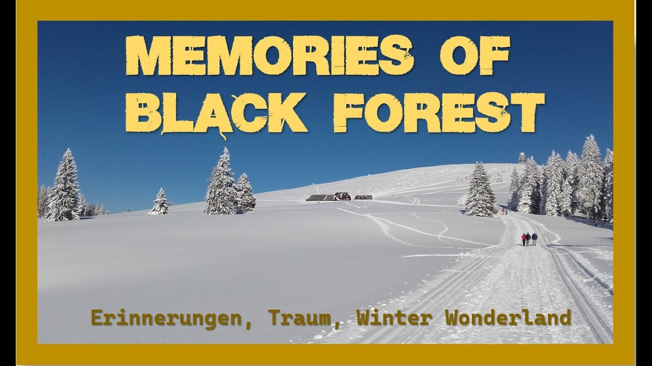 Memories of Black Forest ❄️❄️❄️Erinnerungen an den Schwarzwald im Winter #travel #schwarzwald
