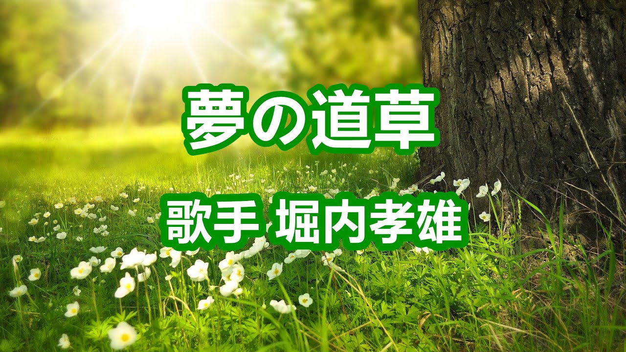 夢の道草～唄 堀内孝雄 (アリスのメンバー)