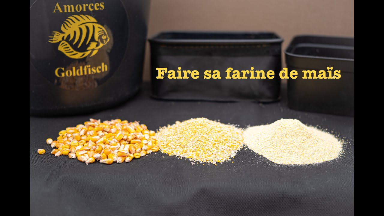 Faire sa farine de maïs