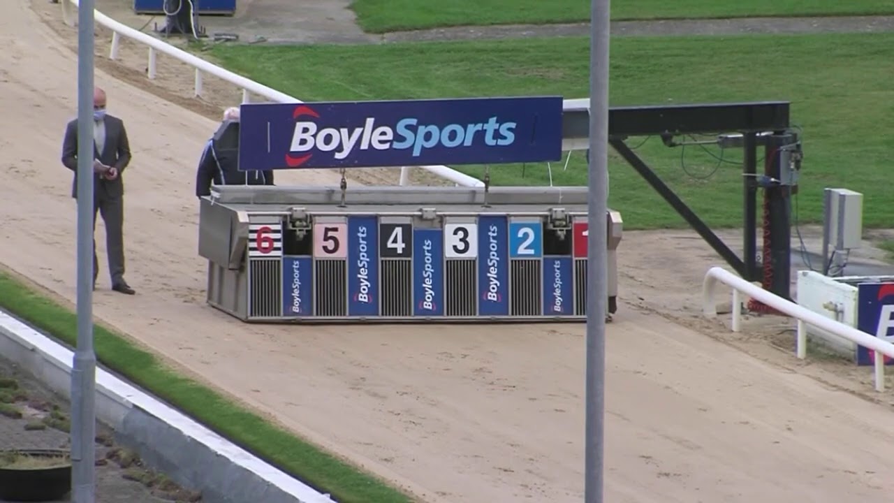 Pestana&rsquo;s track record breaking run at shelbourne park winning in 28.99 and newinn Taylor in 2nd