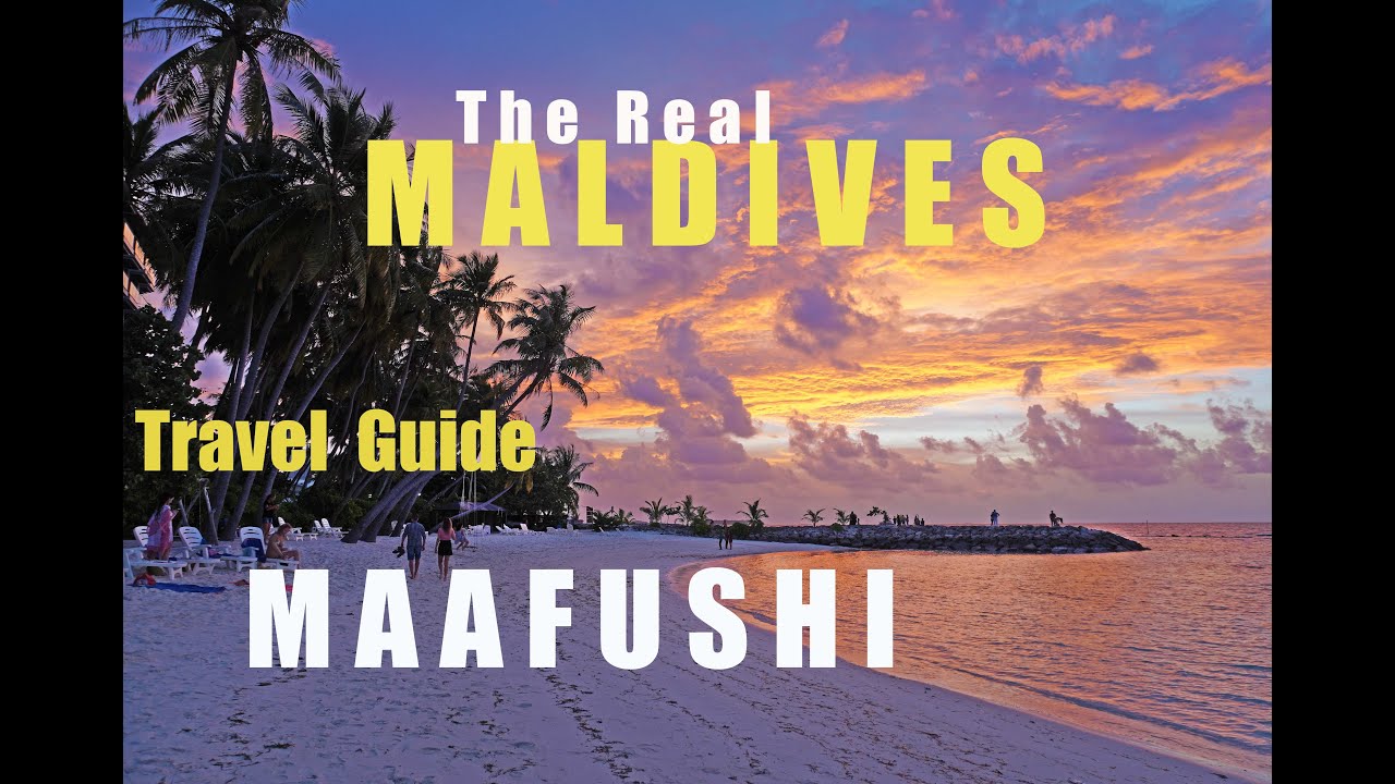4K | MALDIVES | MAAFUSHI ISLAND | TRAVEL GUIDE | 2022  #budgettraveling #snorkeling #diving