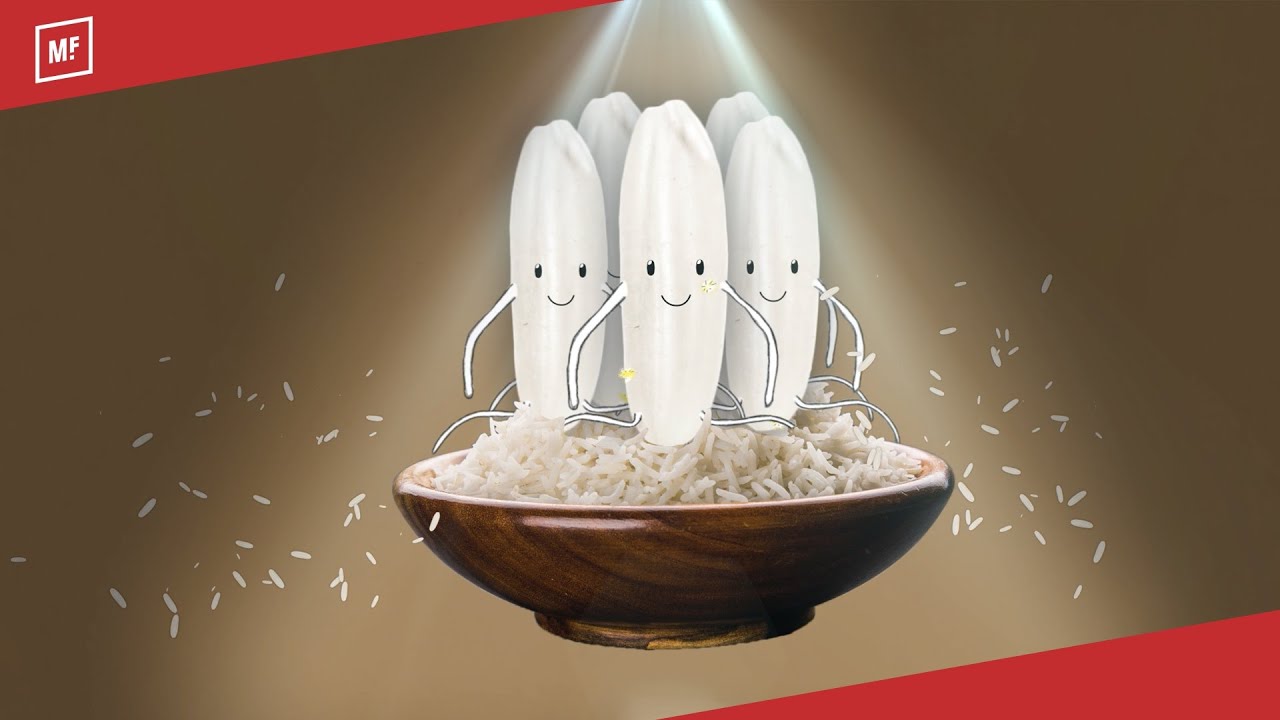 DSM - Fortified Rice (Infographic) | by Media Facilities