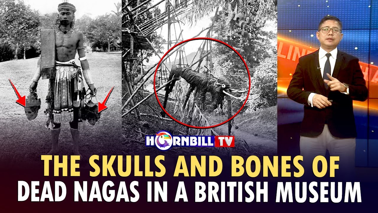 THE SKULLS AND BONES OF DEAD NAGAS IN A BRITISH MUSEUM
