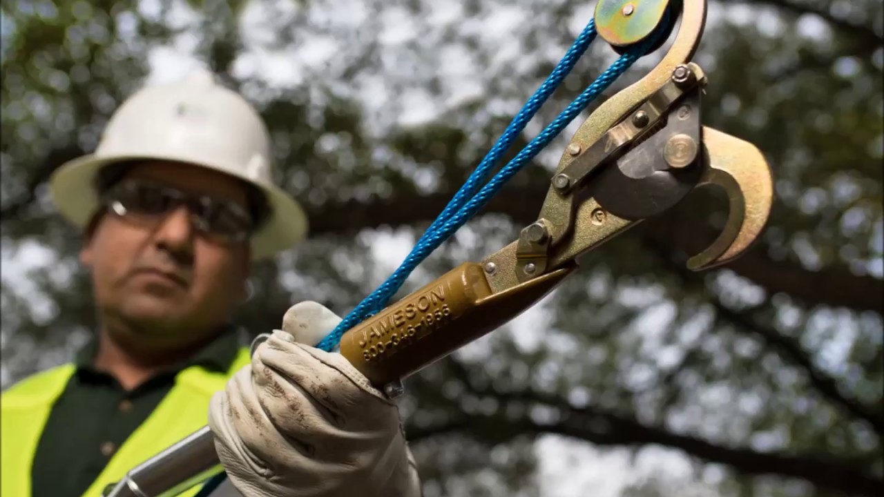 Jameson Tree Trimming Tools