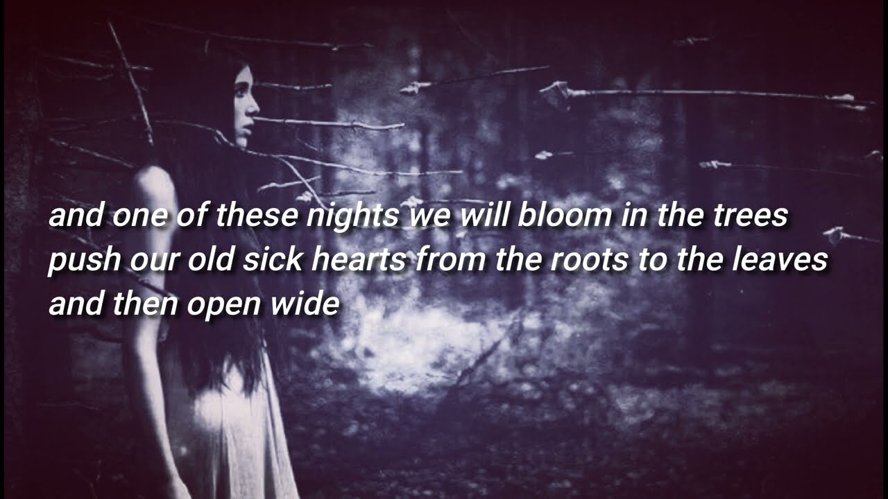 Raised By swans - hail of arrows Lyrics