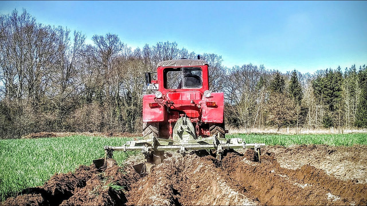 Kartoffeln anhäufeln mit Belarus MTS 50