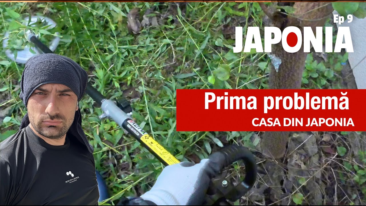 Zi de lucru în Japonia: Primele probleme  și încep curățarea grădinii