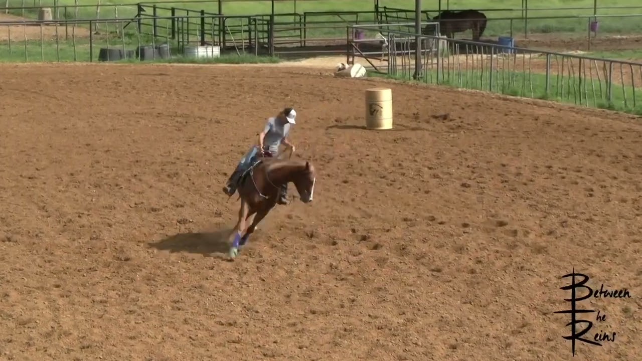 Jolene Montgomery on Between The Reins—Keeping Forward Motion on A Young Barrel Horse