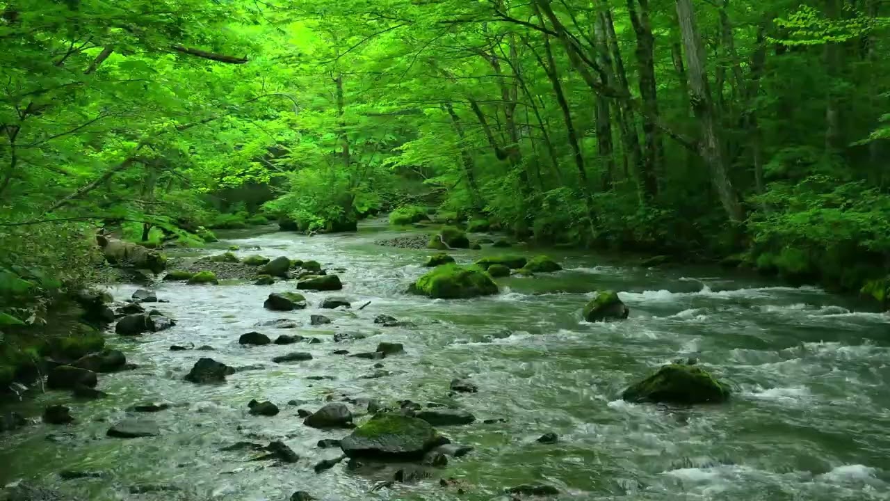 Whispers of the Forest River: Calm Flowing Water for Deep Relaxation
