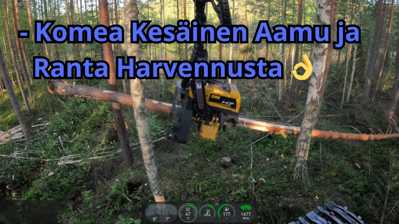 Lammen Rannalla Aamu Varhaalla Harventelemassa. Ponsse Scorpion K AC New H7 2025