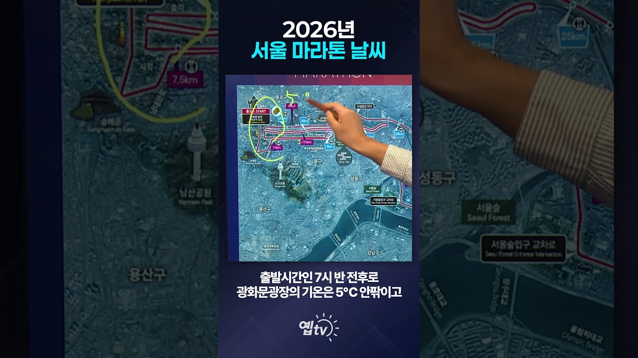 2026년 서울 마라톤(동마) 날씨는? (2026년 3월 13일 기상청 날씨를 보다)