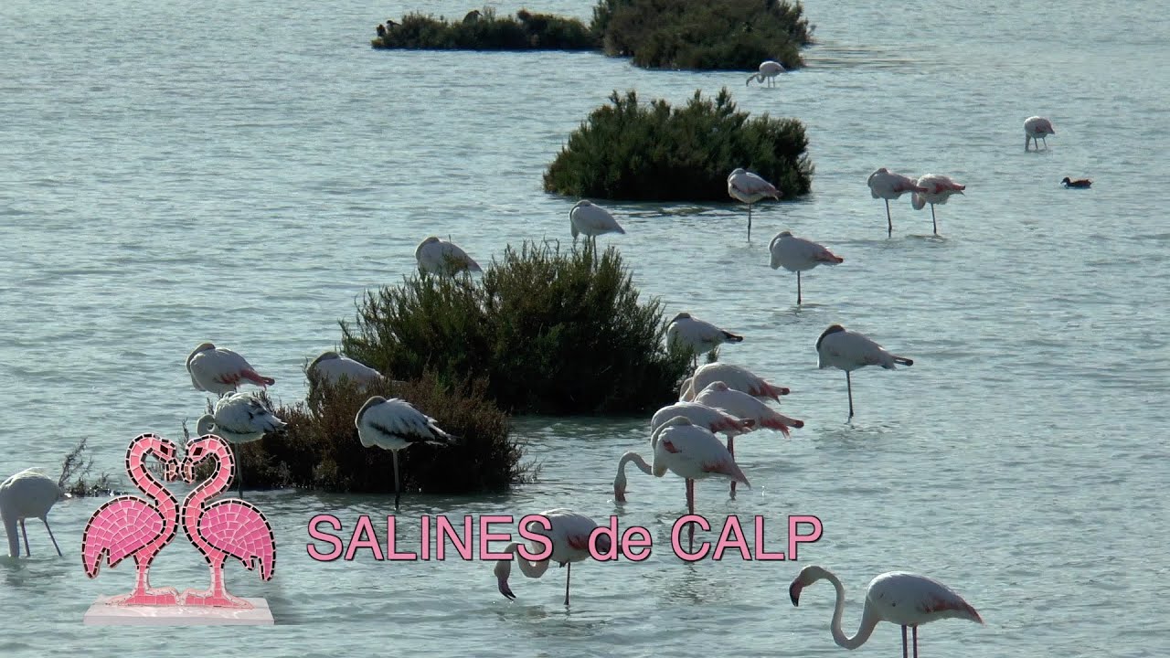 Salinas de Calp