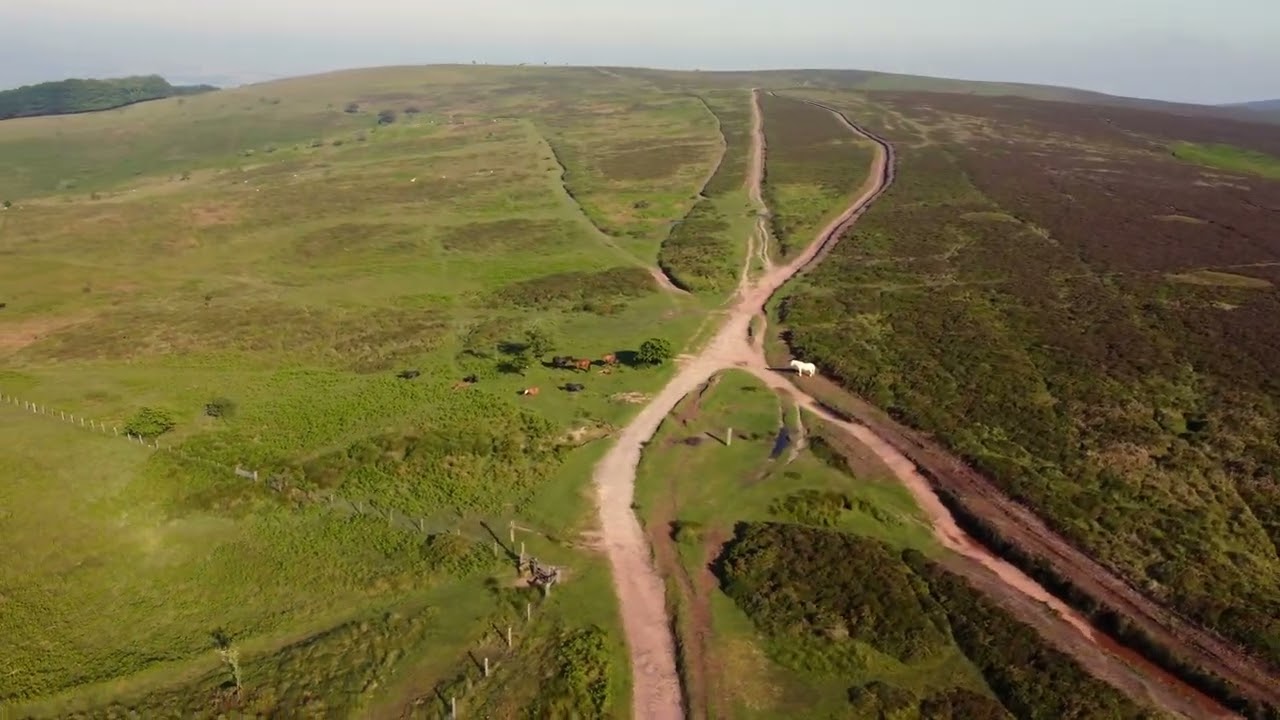 Quantocks   Dead Woman's ditch to Bicknoller Post