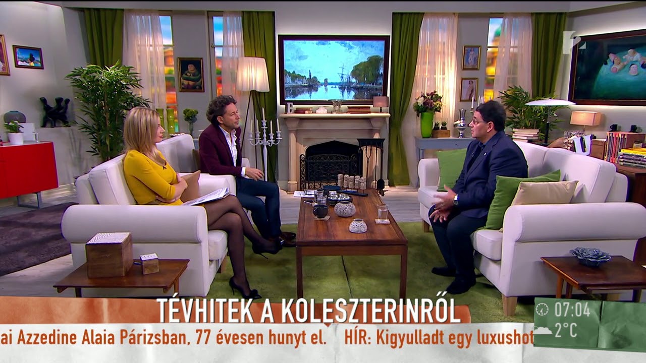 Tudtad, hogy van jó koleszterin is?- tv2.hu/mokka