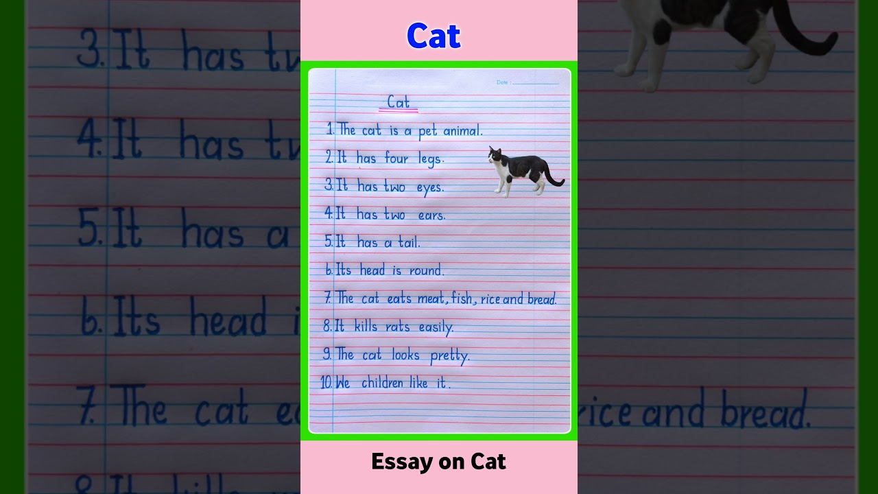 10 Lines on Cat in English | Essay on My Pet Cat | 10 Lines Essay on Cat | Essay on Cat in English