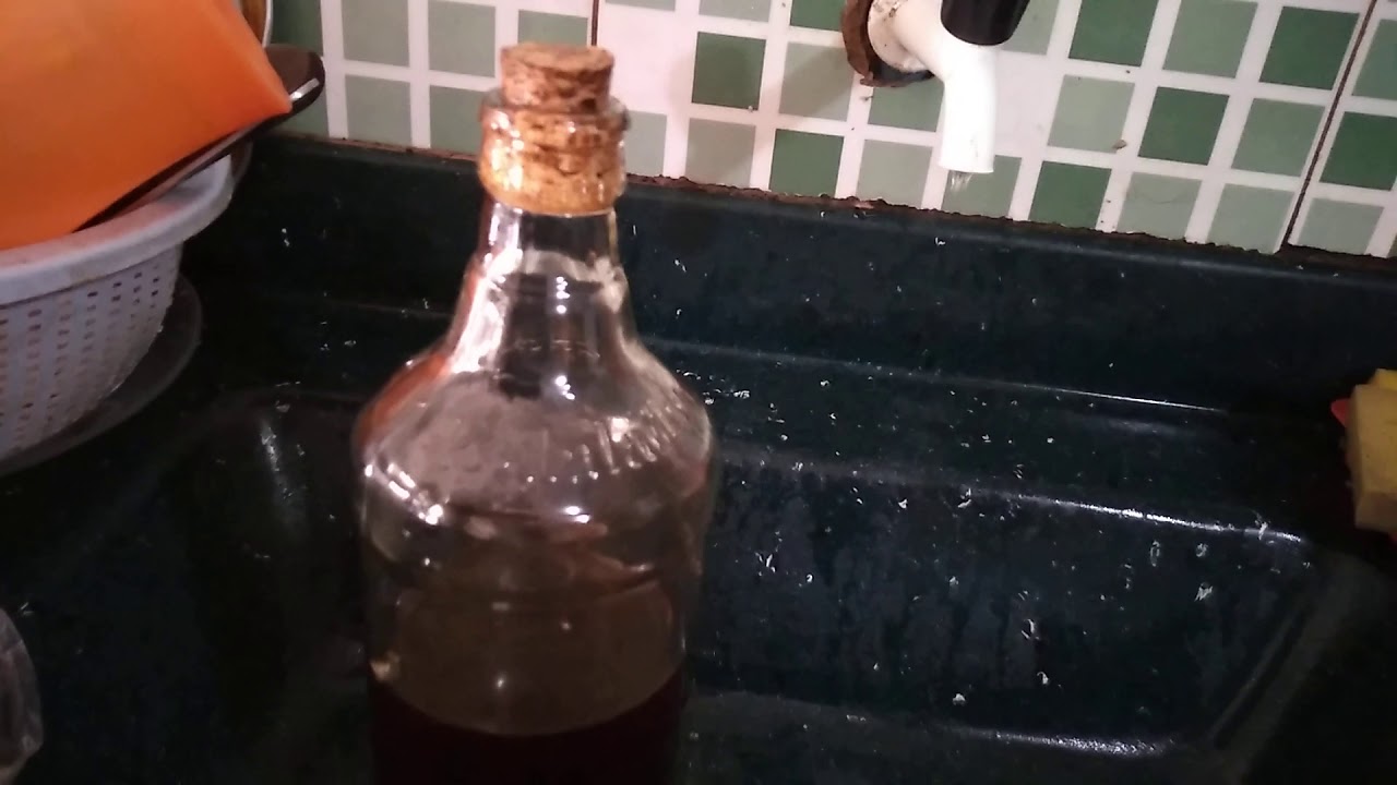 como evitar formigas na garrafa de mel
