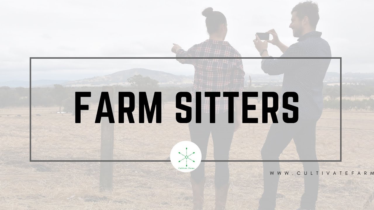 Farm Sitters