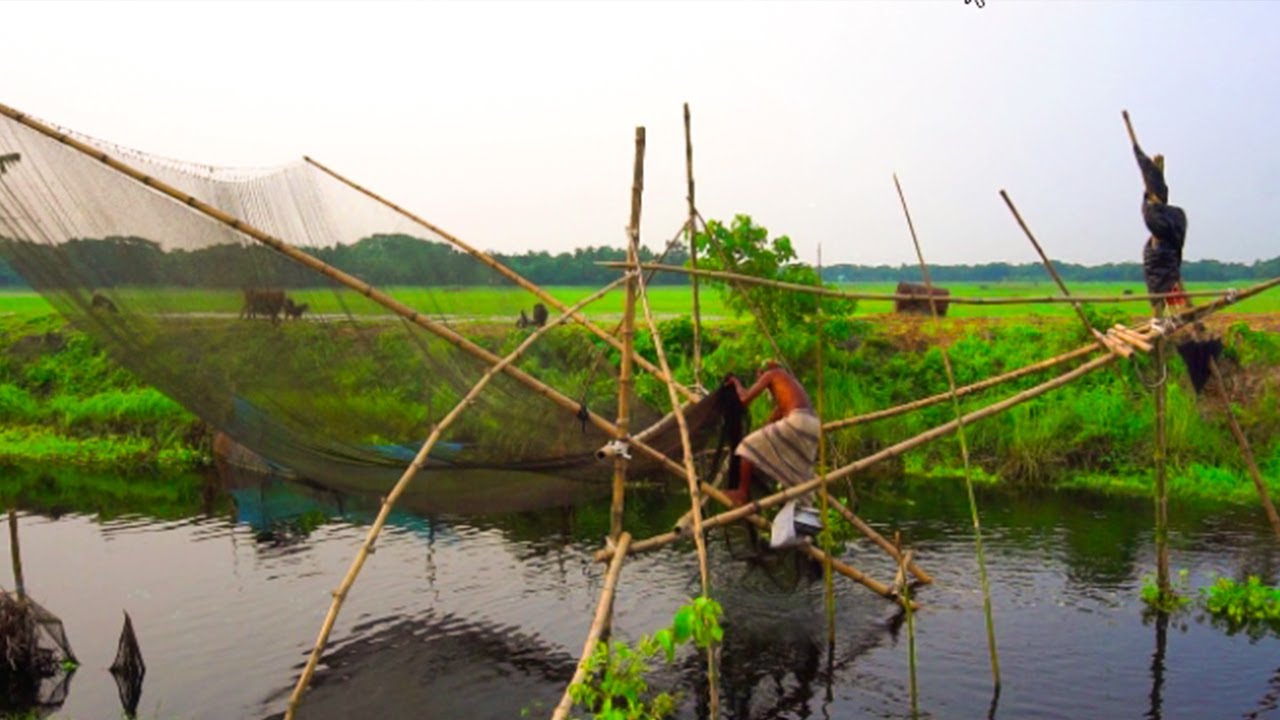 Old Fishing Technique | Asian Traditional Fishing in Village | Primitive Fishing Method