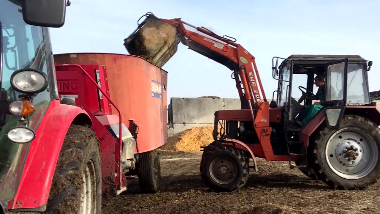 Örménykút | Tehenészeti telep + Massey Ferguson 5609 + SILOKING DUO 13m3