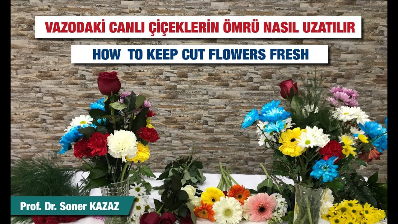 VAZODAKİ CANLI ÇİÇEKLERİN ÖMRÜ NASIL UZATILIR (HOW TO KEEP CUT FLOWERS FRESH)