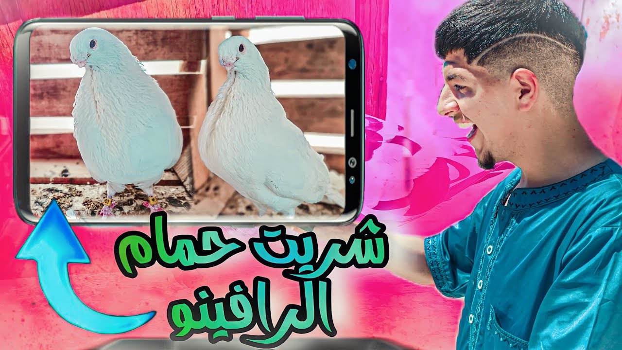 شريت ذكر ديال حمام الرافينو 🤍
