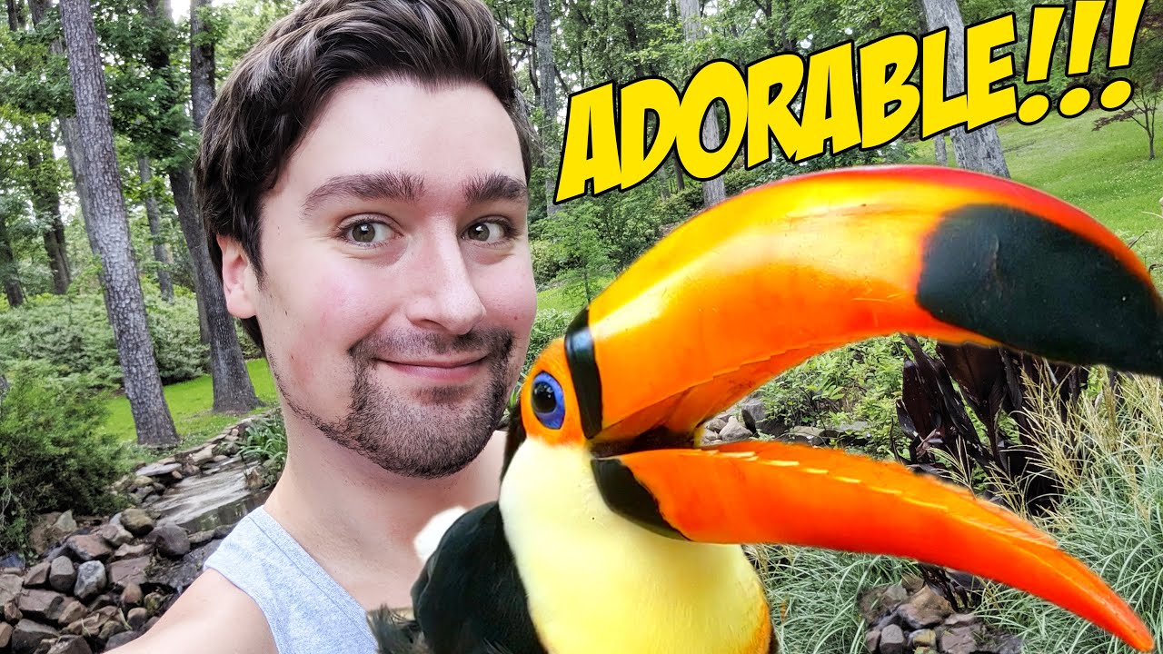 Taking my Toucan to The Botanical Gardens UN-LEASHED!! (SO CUTE!)