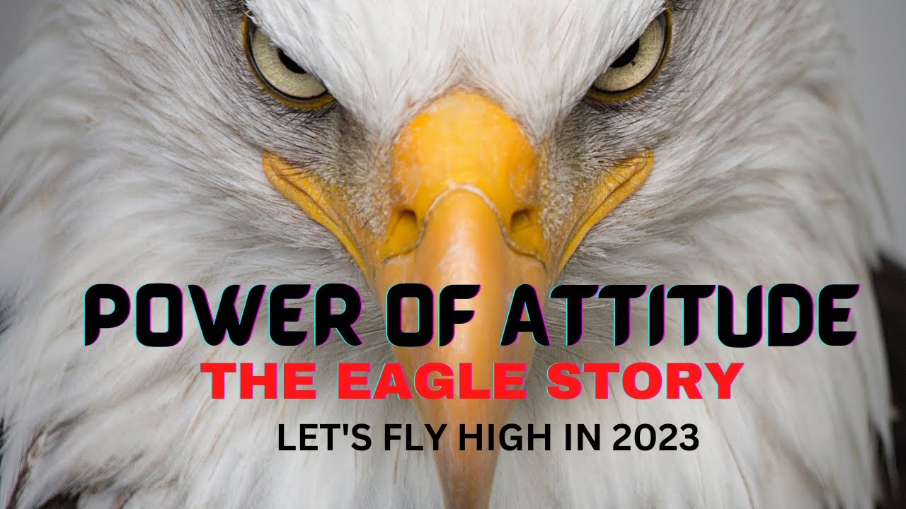 Eagle Motivation | Power of Attitude | Power of Determination | The Eagle Story | Motivational Life