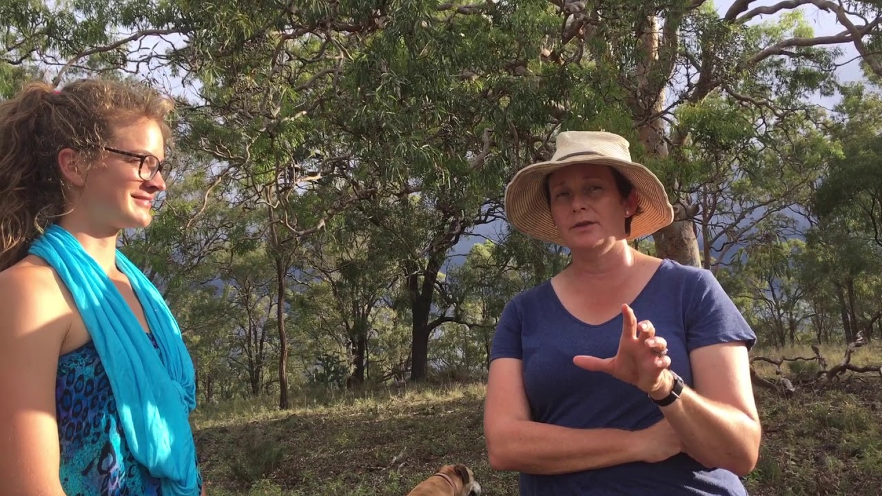 Holistic Management with Helen Lewis, Australia #3 What is agroecology for you?