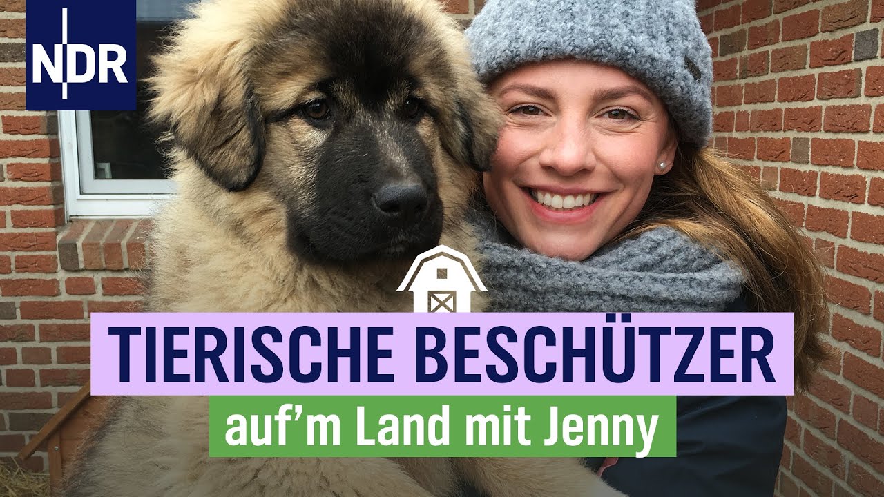 Junge Hunde und Katzenbabys - Nachwuchs bei Jenny & Sven Ole Johansson | Folge 6 | NDR auf'm Land