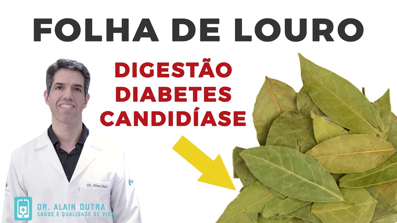 Como usar a folha de louro para digestão e diabetes - Guia completo. Receita no final.