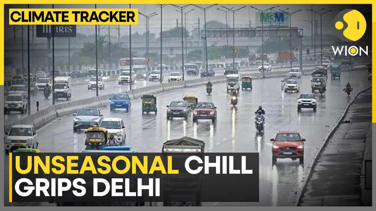 Overnight Showers Bring Relief to Delhi-NCR; IMD Issues Rain Alerts | WION CLIMATE TRACKER