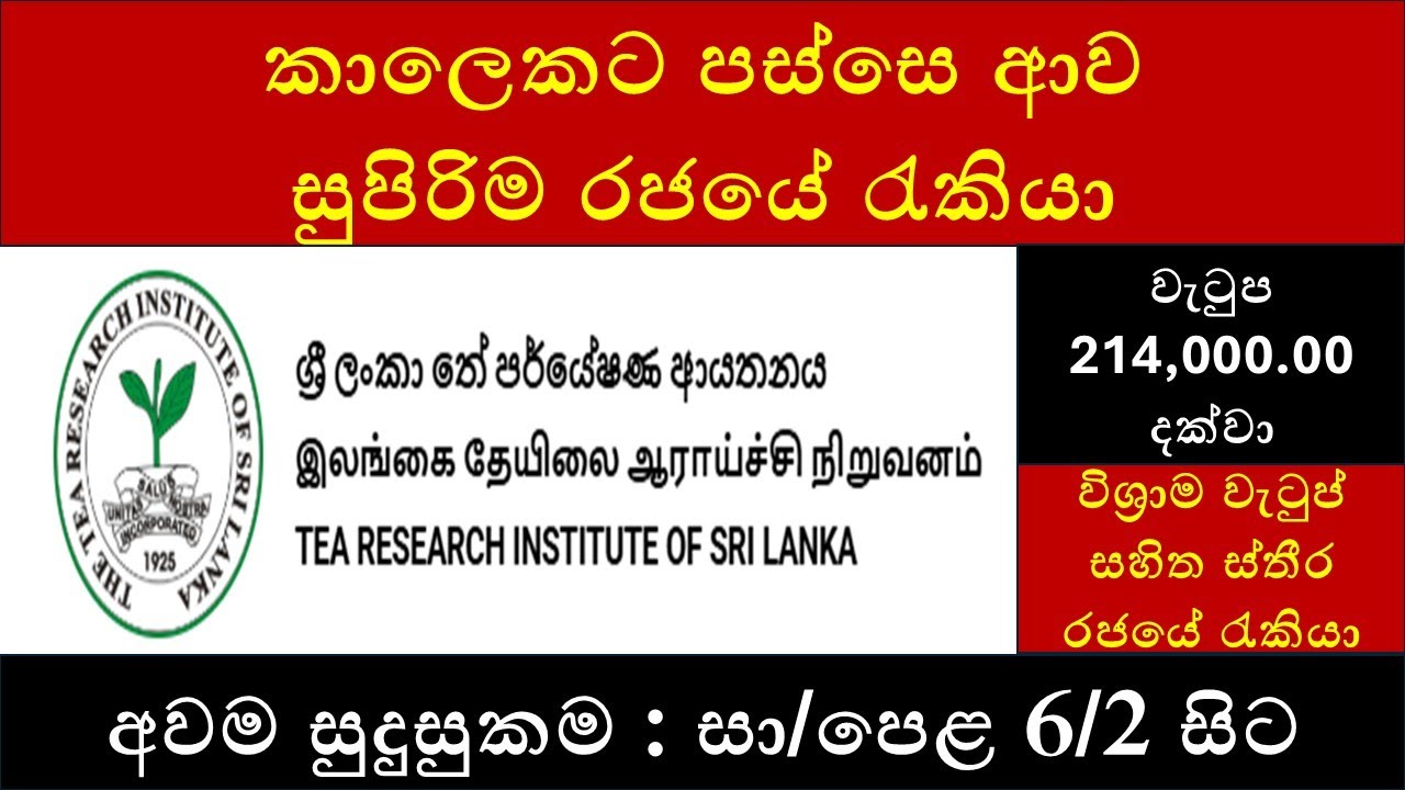 රජයේ රැකියා 2025 : ශ්‍රිලන්කා තේ පර්යේෂණ ආයතනය : Tea Research Institute Sri Lanka Job Vacancies 2025