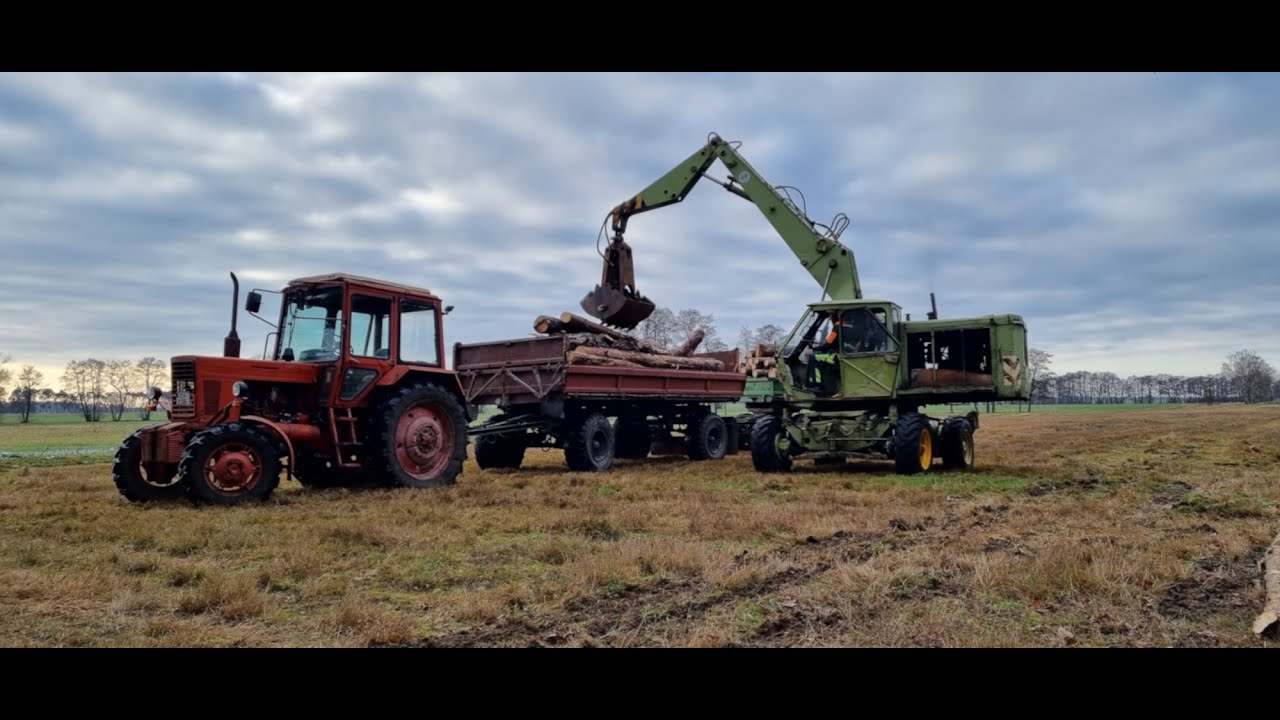 Holz aufladen mit T174