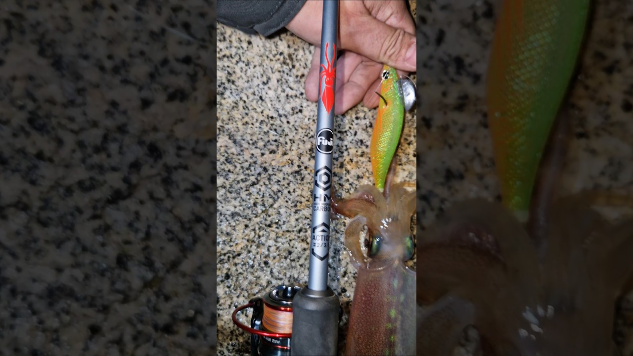 como os va el mes de diciembre? 