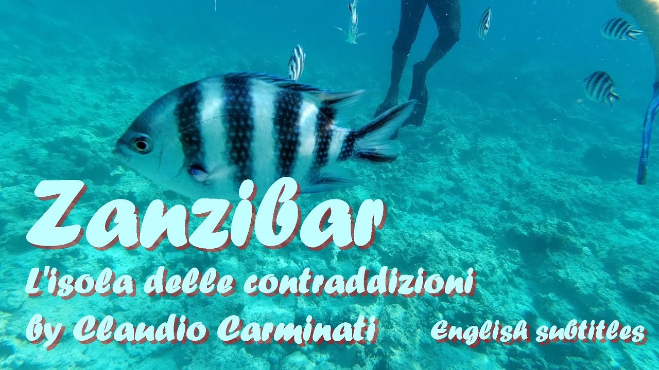 ZANZIBAR - L'isola delle contraddizioni -