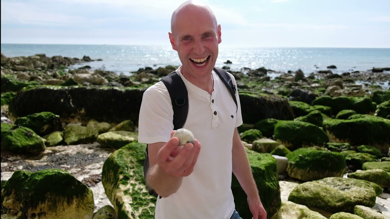 FOSSIL HUNTING UK | Beachcombing find echinoid chalk fossils in Peacehaven | Fossileyes Brighton