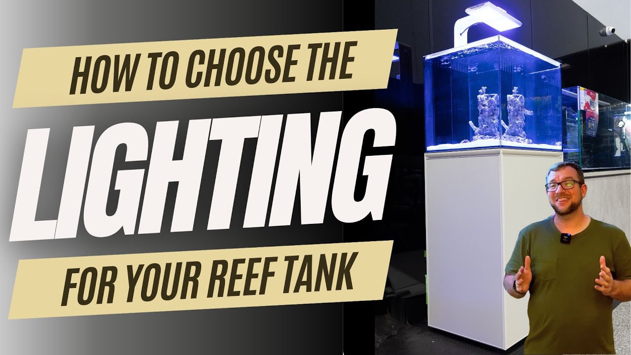Choosing lighting for your Reef Tank!