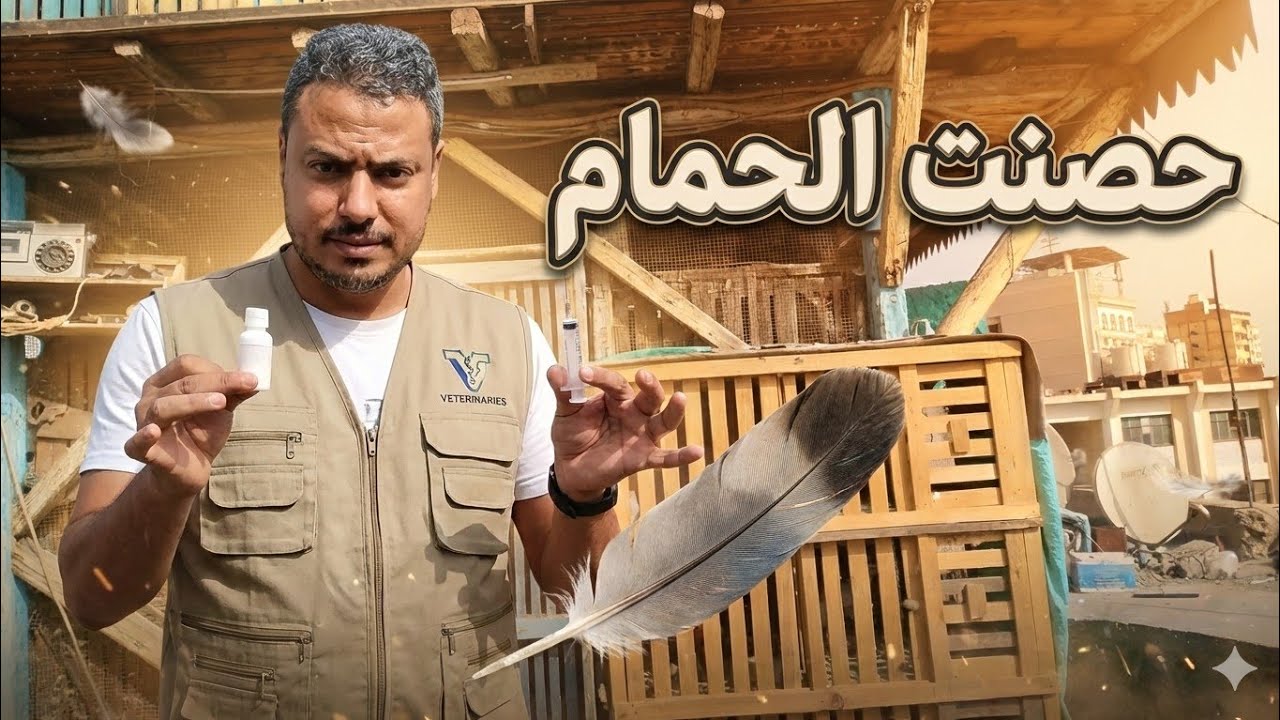 حصنت الحمام🤷🏻تعالى نعرف ازاى💥واتفاجئت بالحمام ده#طيور 