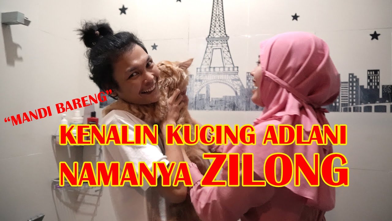 Akhirnya Masuk Youtube! Zilong Kucing Adlani Rambe Mandi