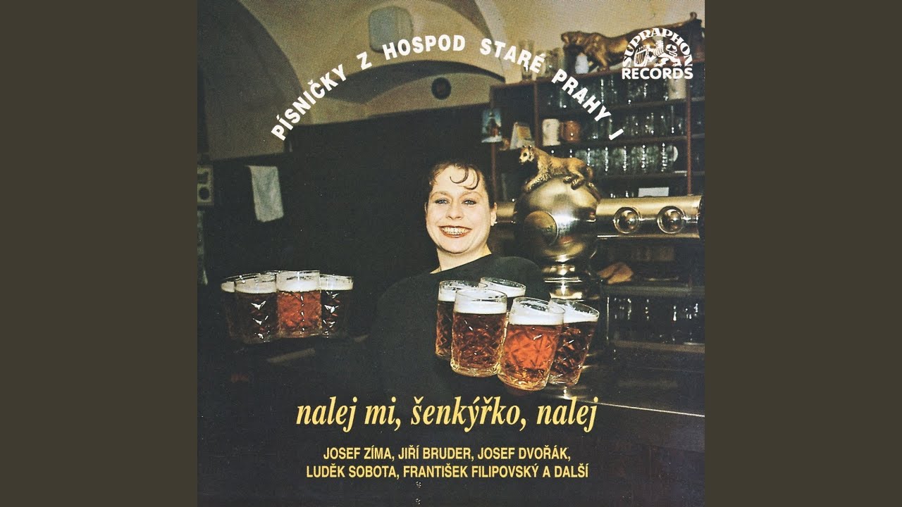 Letěli holubi