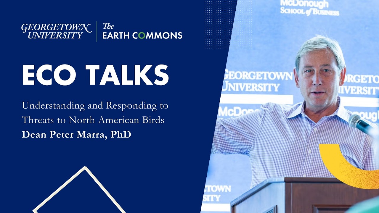 ECo Talks: Studying Birds in the Context of the Full Annual Cycle