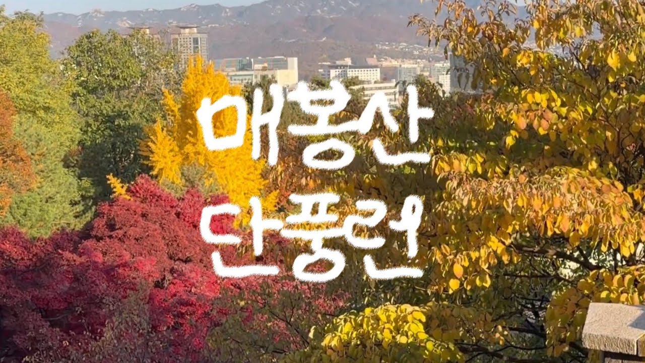 잡숴봐 아이 그러지말고 한입만 잡솨바~ (#트레일러닝 의 매력속으로,,) feat.두달 전 가을 매봉산
