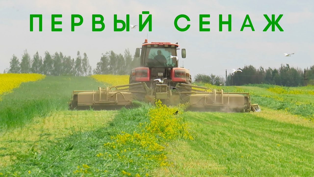 Заготовка кормов / БЕЛАРУС 3522 CAT + КМР-9 / 2Х ПАЛЕССЕ FS80 / 2X БЕЛАРУС 1221 / МАЗ 5551 и др. /