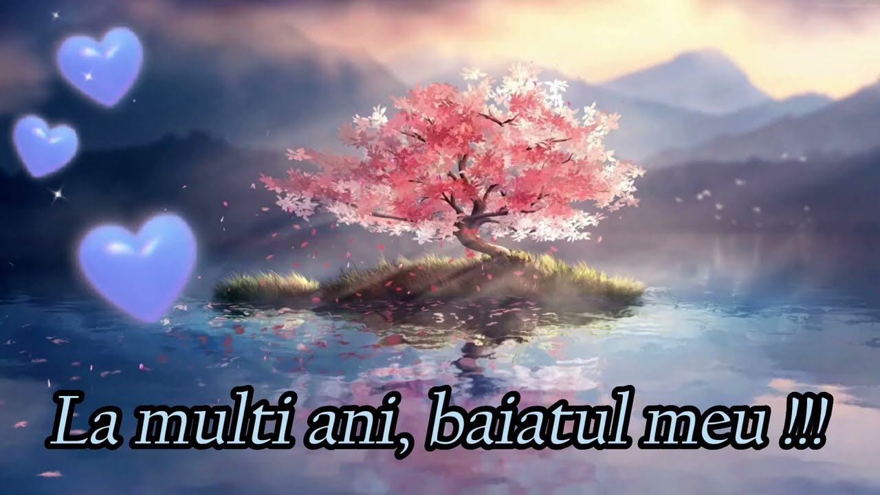 De ziua baiatului meu