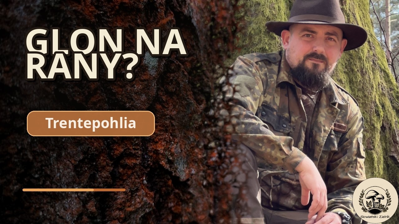 Glon na rany? Zapomniany patent survivalowy