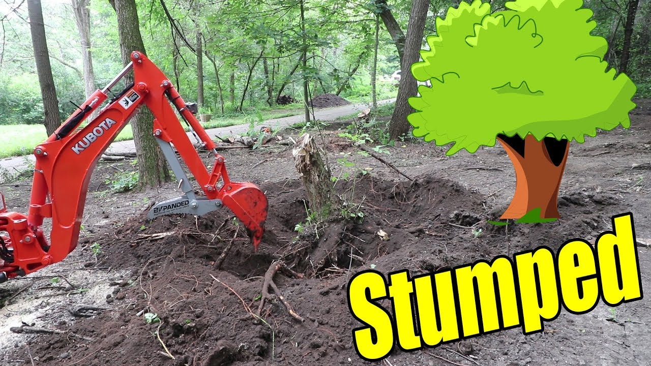 Kubota BX23S: Larger Stump Removal with a newbie tractor operator
