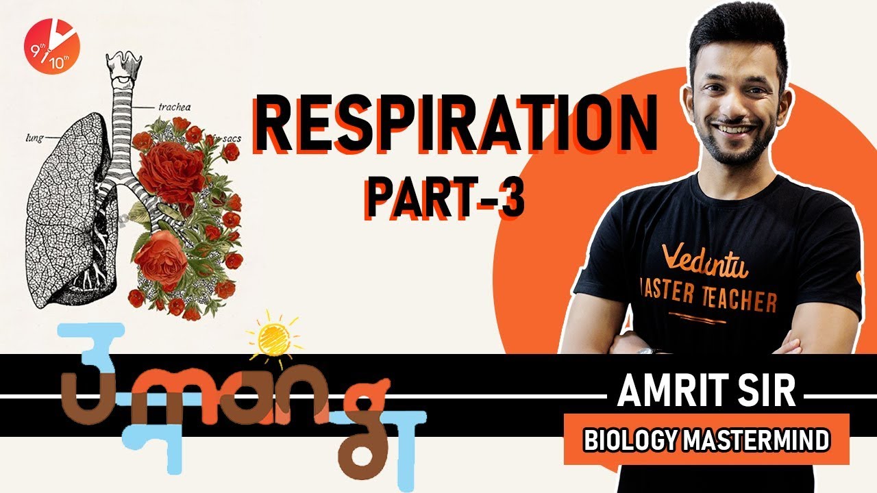 Respiration - 3 | Life Process Class 10 | In Human | Exchange of Gases | Diagrams