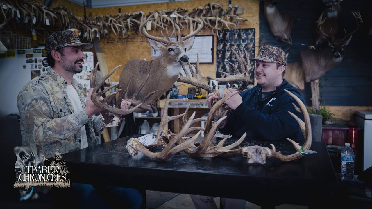 Behind the Mount: The Real Side of Taxidermy...