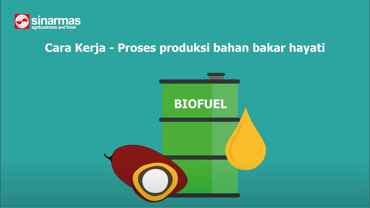 How it works - Biofuel production process (Bahasa Indonesia subtitles)